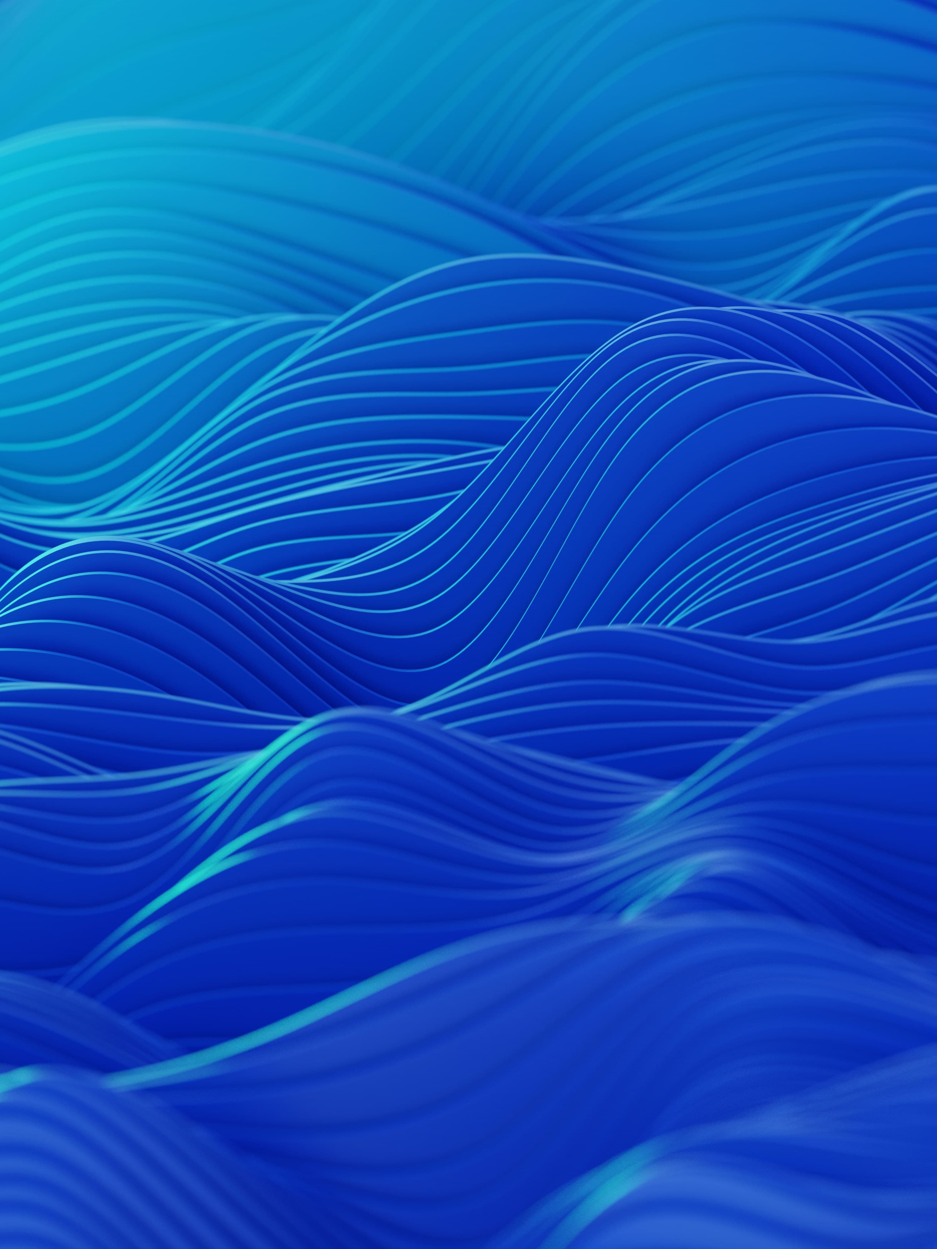 Digital Forest Dreams